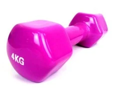 Provesport Aerobikos hantelis Prove 4kg (1vnt)