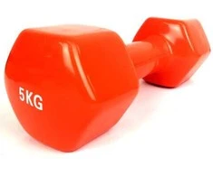 Provesport Aerobikos hantelis Prove 5kg (1vnt)