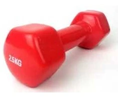 Provesport Aerobikos hantelis Prove 2,5kg (1vnt)