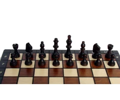 Provechess Magnetiniai šachmatai Magnetic Small 280x140x40mm, karalius 60mm
