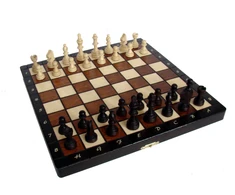 Provechess Magnetiniai šachmatai Magnetic Small 280x140x40mm, karalius 60mm