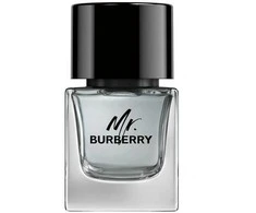Burberry Mr. Burberry EDT 50ml