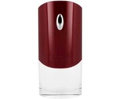 Givenchy Pour Homme EDT 100ml