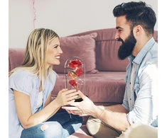 Amžinoji rožė po stiklo gaubtu su LED apšvietimu Happy People KK-29