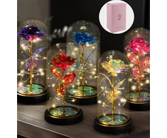 Amžinoji rožė stiklo kupole su LED šviesomis Happy People KK-30