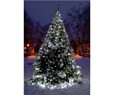 Happy People Lauko Kalėdinė girlianda 500 Led, 35 metrai Šaltai baltos spalvos Flash K-32