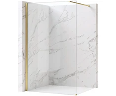 Dušo siena Rea Flexi Transparent / Gold 110