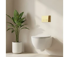 Įleistinis WC rėmas Rea K011A-Q HD Gold