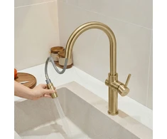 Maišytuvas virtuvės Rea Fresh High Gold