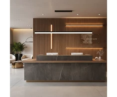 Pakabinamas šviestuvas Toolight Šviestuvas LED APP1695-CP 200 cm Juodas