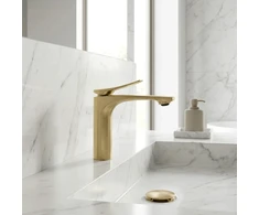 Praustuvo maišytuvas PREMIUM REA Vision Gold Low