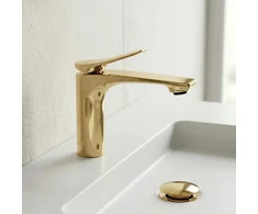 Praustuvo maišytuvas PREMIUM REA Vision Gold Low