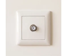Toolight Antenos Lizdas Oste Jnh012-a rusvai gelsvas
