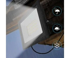 Toolight Halogenų vadovaujama 100W RSL004-100N