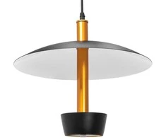 Toolight Pakabinamas šviestuvas APP914-1CP