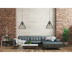 Pakabinamas šviestuvas Toolight Šviestuvas lubinis Loft LH2065