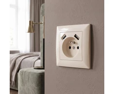 Toolight Viengubas Lizdas Su Įžeminimu + Usb-a Usb-c Oste Jnh004-g rusvai gelsvas