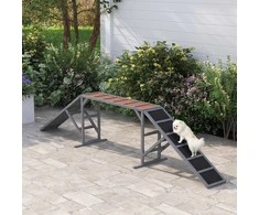 Agility rampa 325x55x69 cm