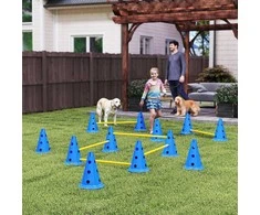 Agility rinkinys mėlyna ir geltona