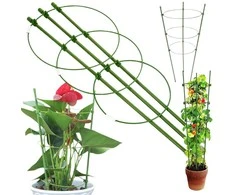 Augalų atrama žiedinė 60cm žalia