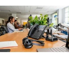 Ausinės HP Poly Voyager 4300 UC Series 4320