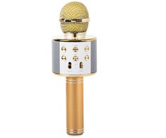 Belaidis mikrofonas su Bluetooth ir karaoke garsiakalbiu bei dėklu, 22 cm, auksinis