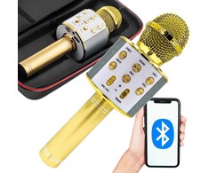 Belaidis mikrofonas su Bluetooth ir karaoke garsiakalbiu bei dėklu, 22 cm, auksinis
