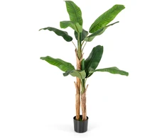 Dirbtinė bananų medis 165.1 cm/195.6 cm