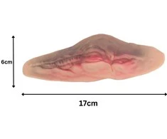 Dirbtinė žaizda pjūviui su 10 ml kraujo rinkiniu