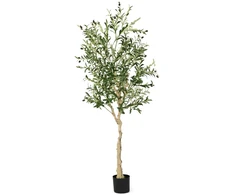 Dirbtinis alyvmedis 182.9 cm 1 vnt.