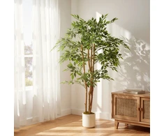 Dirbtinis banianas 65 x 65 x 150 cm