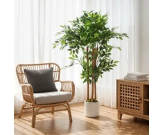 Dirbtinis banyan medis 55 x 55 x 120 cm