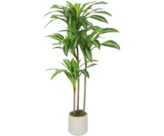 Dirbtinis dracena medis 120 cm