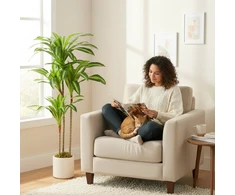 Dirbtinis dracena medis 120 cm