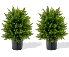 Dirbtinis kedro formos kamuolys 54,6 cm 2 vnt.