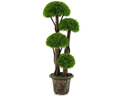Dirbtinis kiparisas 90 cm