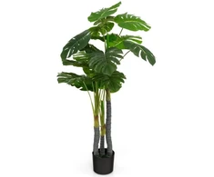 Dirbtinis Monstera medis 120.7 cm