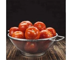Excellent Houseware Nerūdijančio plieno koštuvas su dubeniu 20 cm