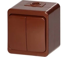 Łącznik Dvigubas išorinis jungiklis 10A, 250V, SMART, IP44, rudas