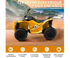 Elektrinis keturratis 12 V