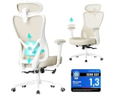 Ergonominė biuro kėdė su reguliuojama atrama