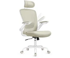 Songmics Ergonominė biuro kėdė su tinkleliu, kapučino spalvos