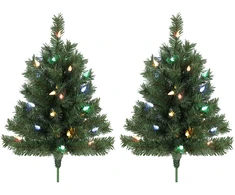 Kalėdinės eglutės su LED lemputėmis, žalios, 60 cm, 2 vnt.