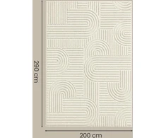 Kilimas 290 x 200 cm