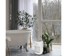 Sausintuvas Webber DEQ10 air dehumidifier