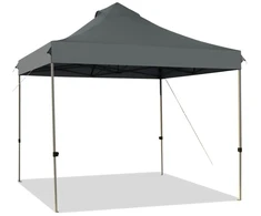 Paviljonas 304.8 x 304.8 cm