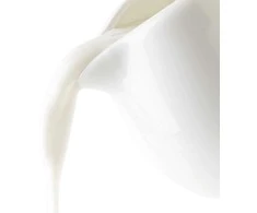 Orion Pieno ąsotis Porcelianas MONA 260 ml Balta