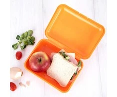 Aptel Orion Pietų Dėžutė 750 ml - Bento Tipas - Kelių Spalvų