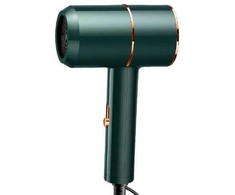 ATL Plaukų džiovintuvas AG440H žalias, 730W, 22 cm