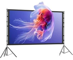 Projektoriaus ekranas 100"